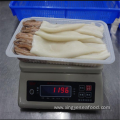 Frozen T+T Squid Products Todarodes Pacificus Squid Products